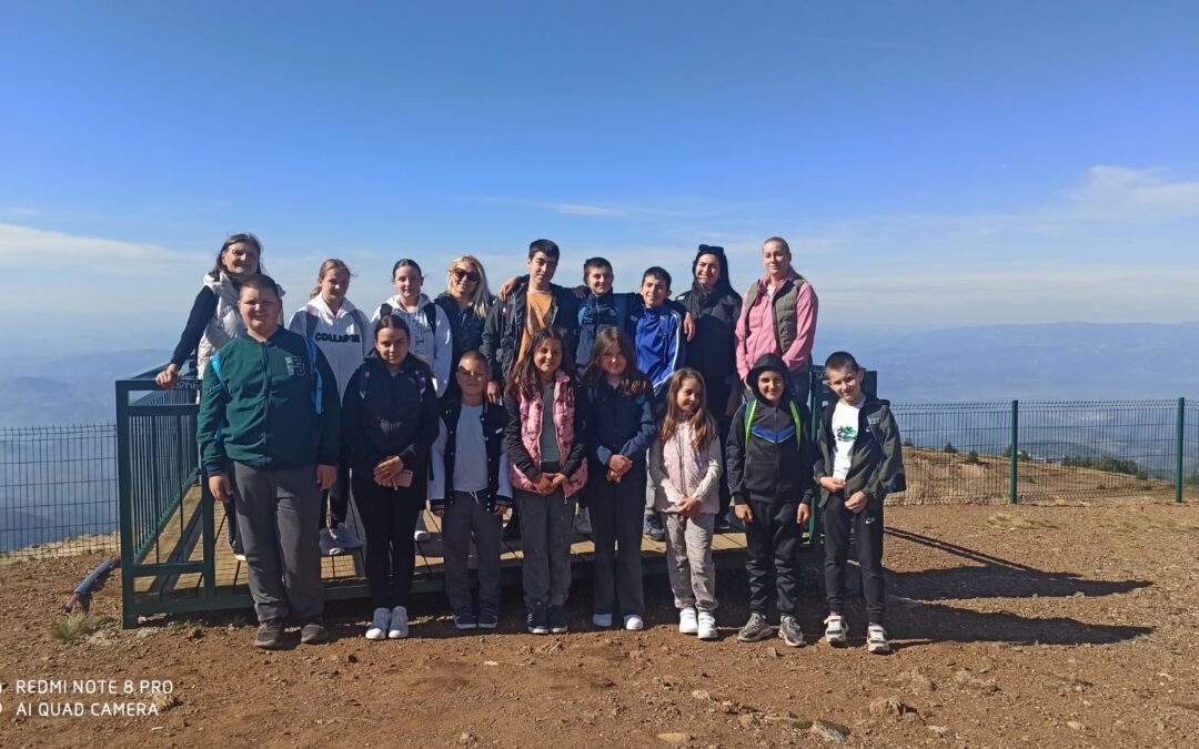 Амбијентална настава